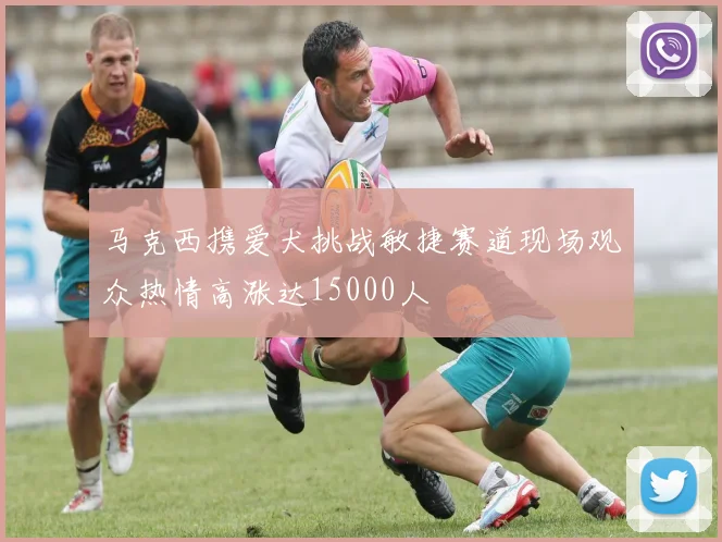 马克西携爱犬挑战敏捷赛道现场观众热情高涨达15000人
