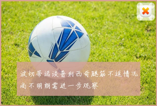 波切蒂诺谈普利西奇腿筋不适情况尚不明朗需进一步观察
