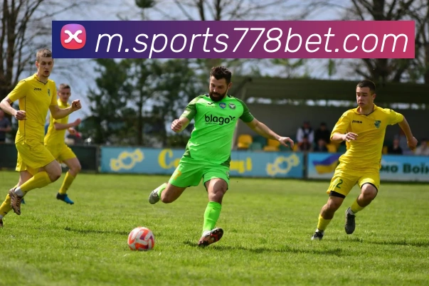 778体育服务体系